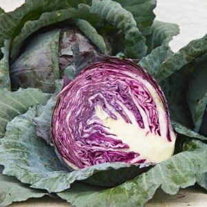 red cabbage