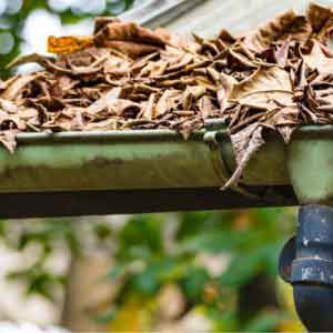 gutter full of leaves