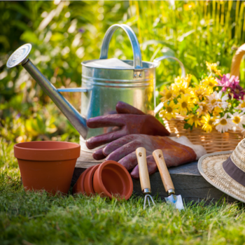 Offseason Garden Tool Audit: How to Choose the Right Tools for Your Garden