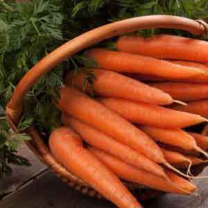 carrot basket