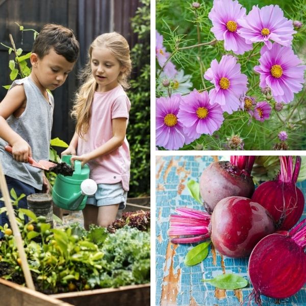 Easy-to-grow Flowers & Vegetables