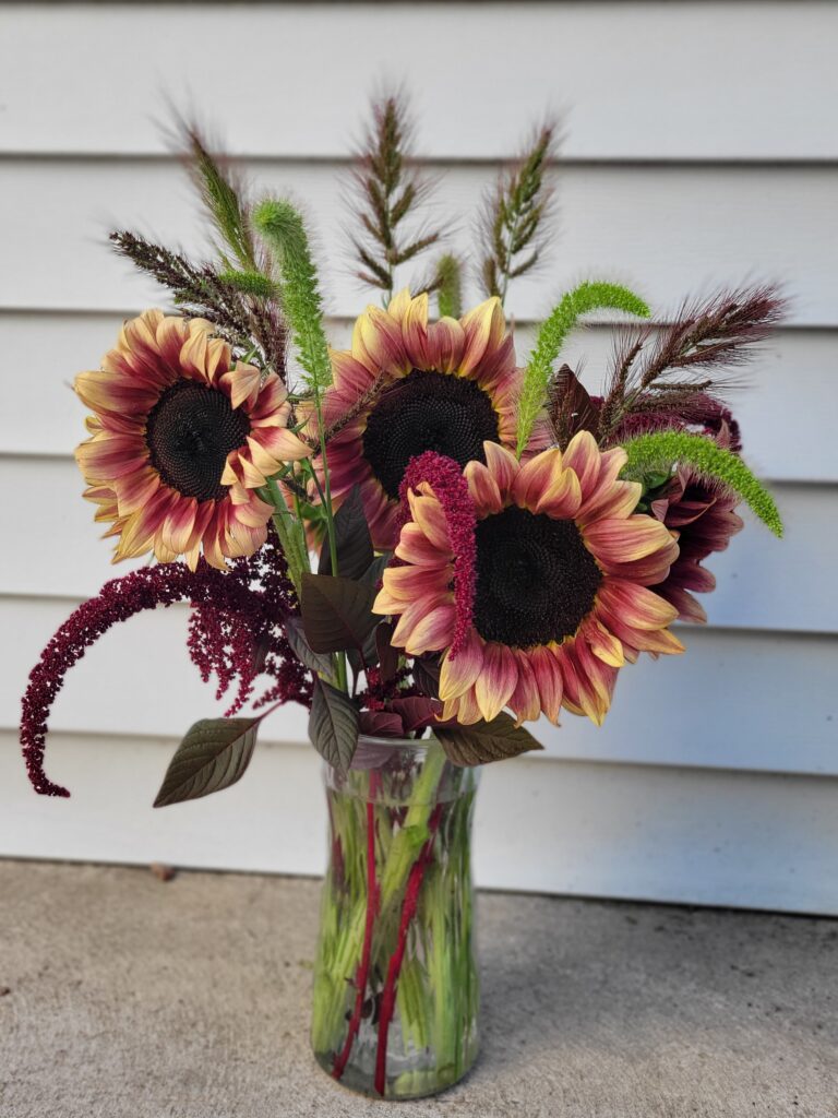 Sunflowers and armaranthus!