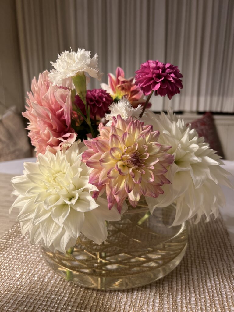 My dahlias and carnations