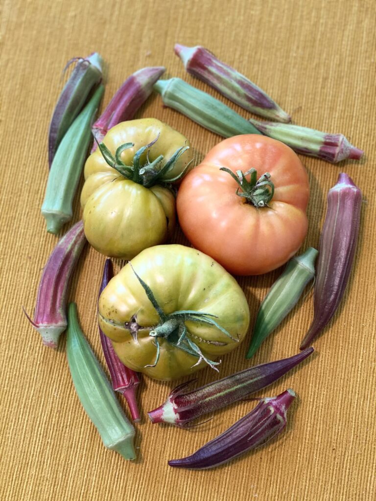 Colorful Summer Harvest