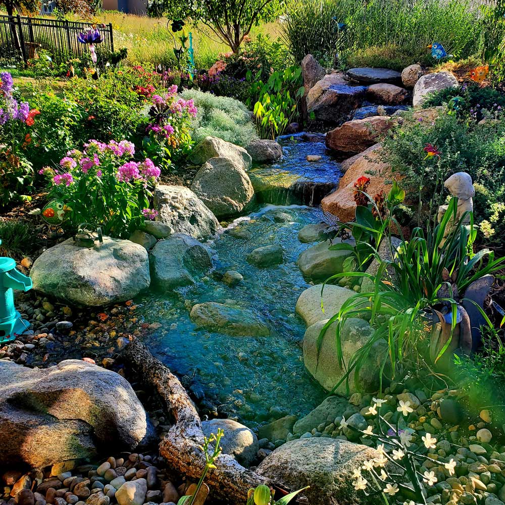 Late afternoon in my waterfall garden