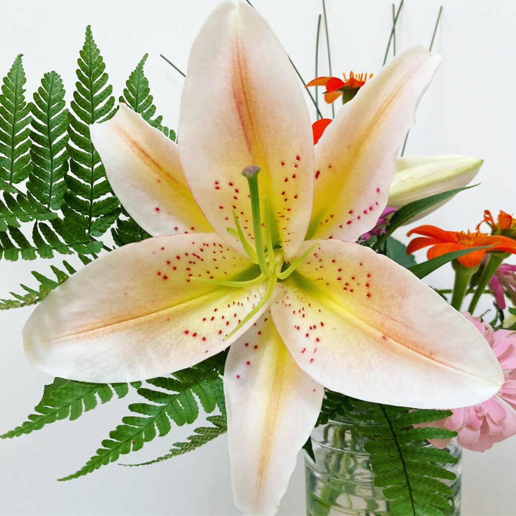 fab lily- star of the bouquet