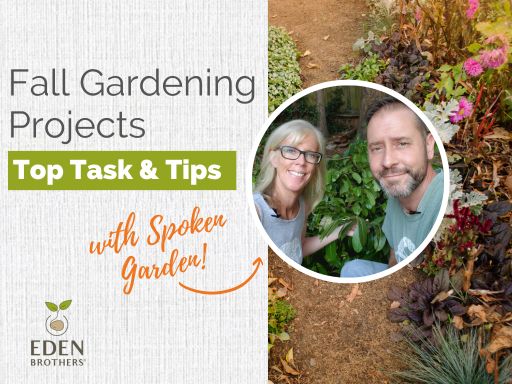 Fall Gardening Projects: Top Tasks & Tips