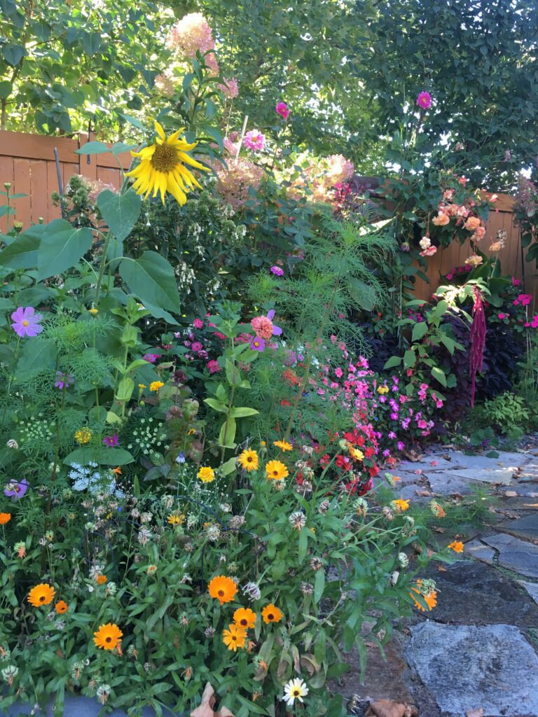 Garden corner of wildflowers and impatiens
