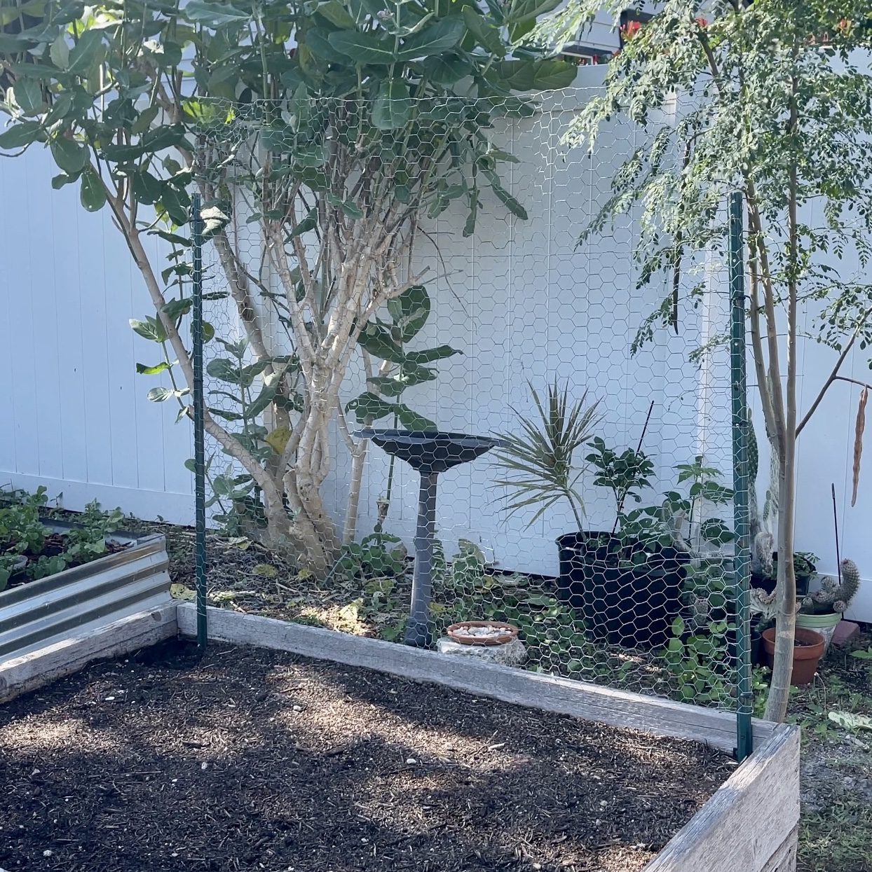 DIY Garden Trellis – So Easy!