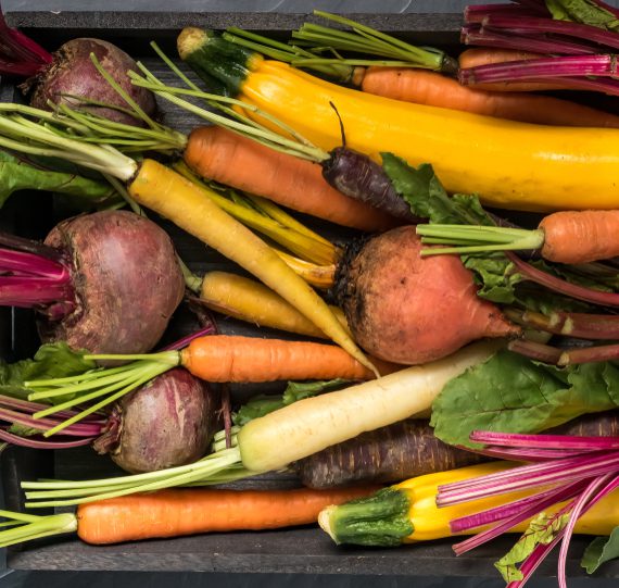 Your Guide to Fall Vegetable Planting