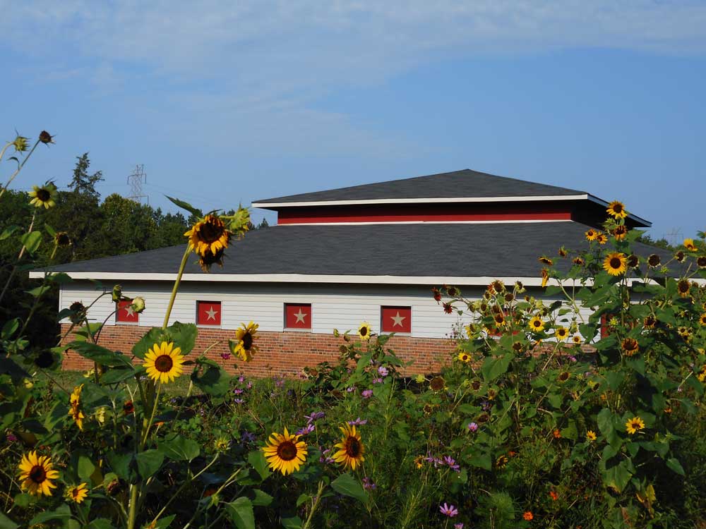 barn with flowers