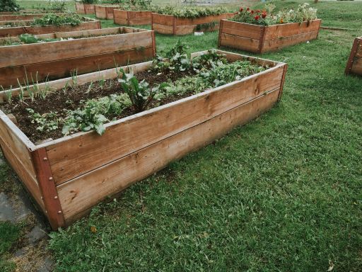 Raised Garden Beds