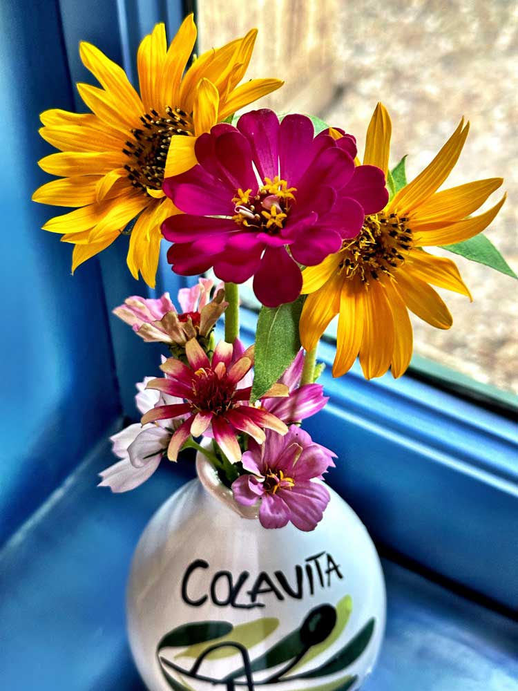zinnia and sunflower in vase