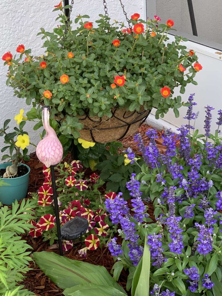 My First Flower Garden