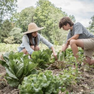 Top 5 Summer Gardening Projects