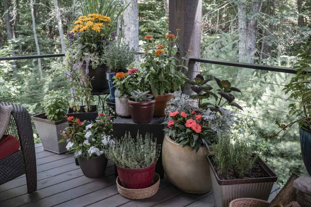 pots on a porch