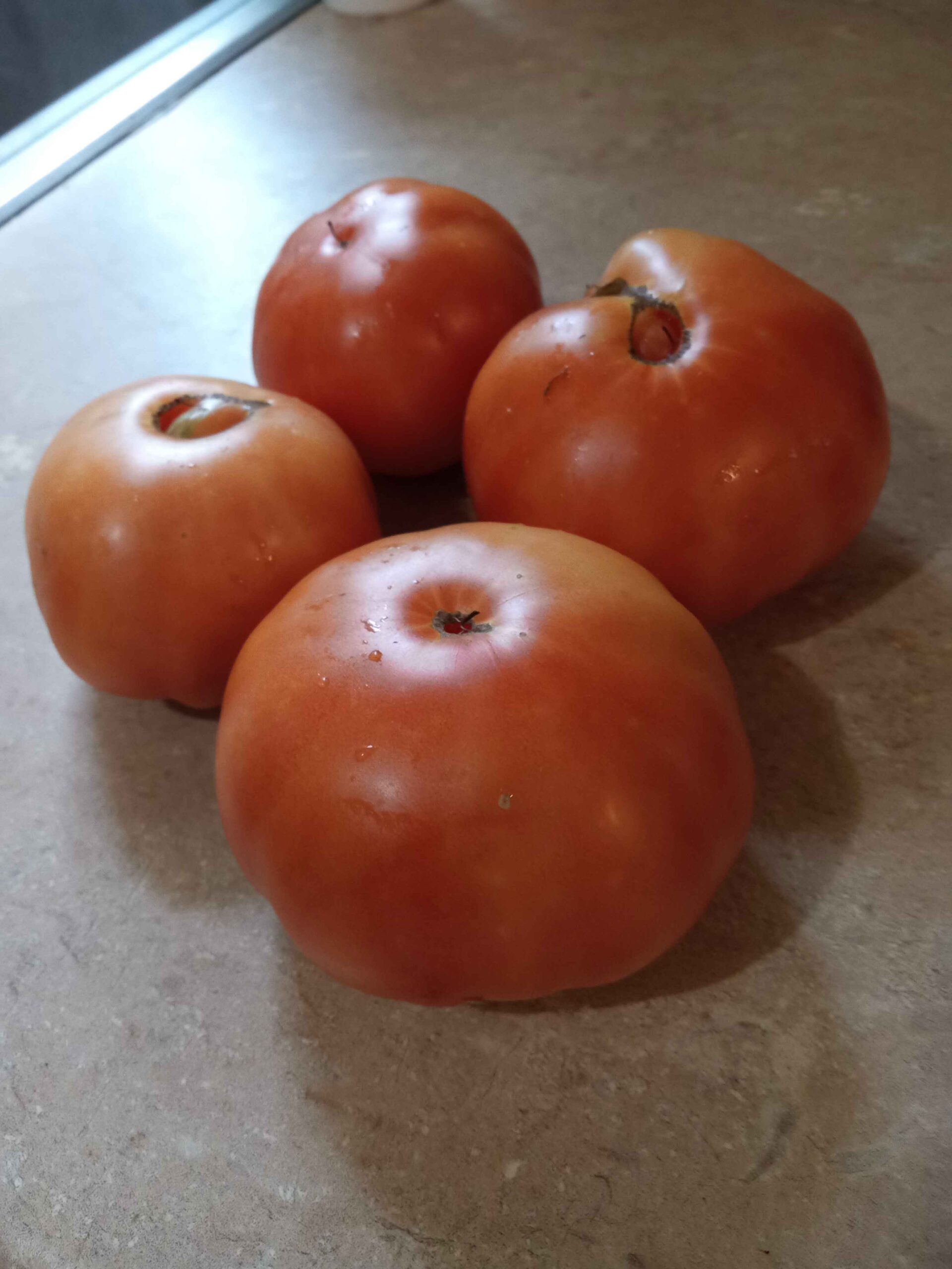 My beefsteak tomatoes