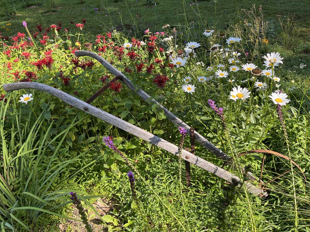 flower bed with plow