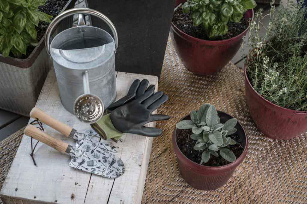 watering can and pots