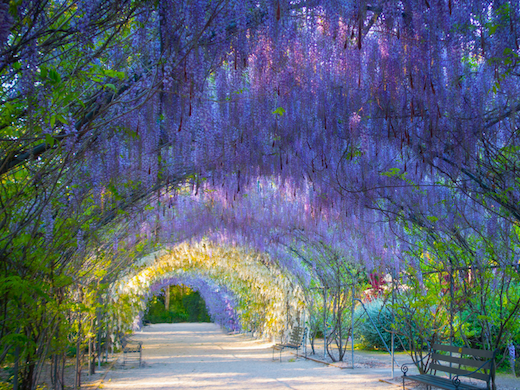 6 Breathtaking Gardens to Visit in 2021