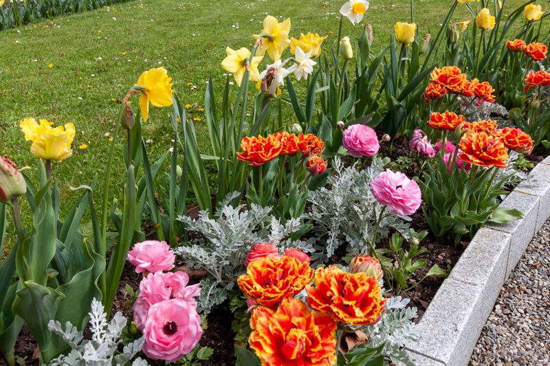 flower garden border