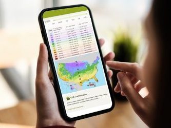 Hardiness Zones Explained