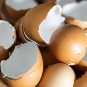 eggshells