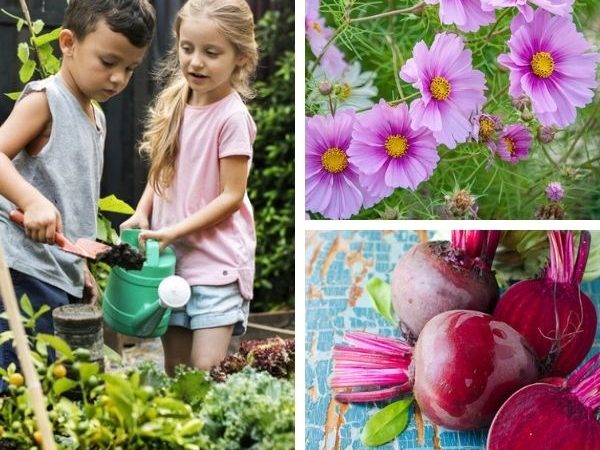 Easy-to-grow Flowers & Vegetables