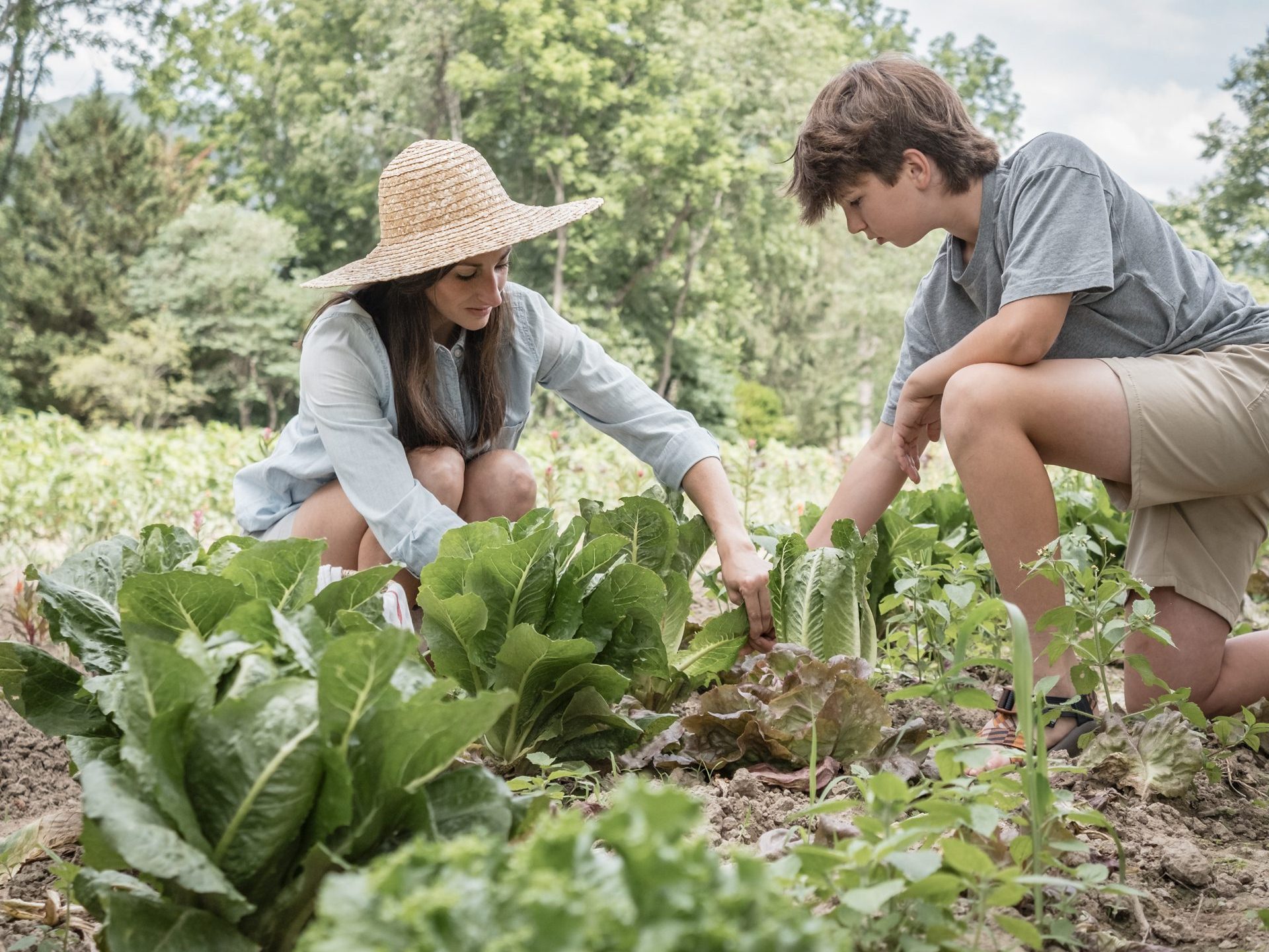 Top 5 Summer Gardening Projects