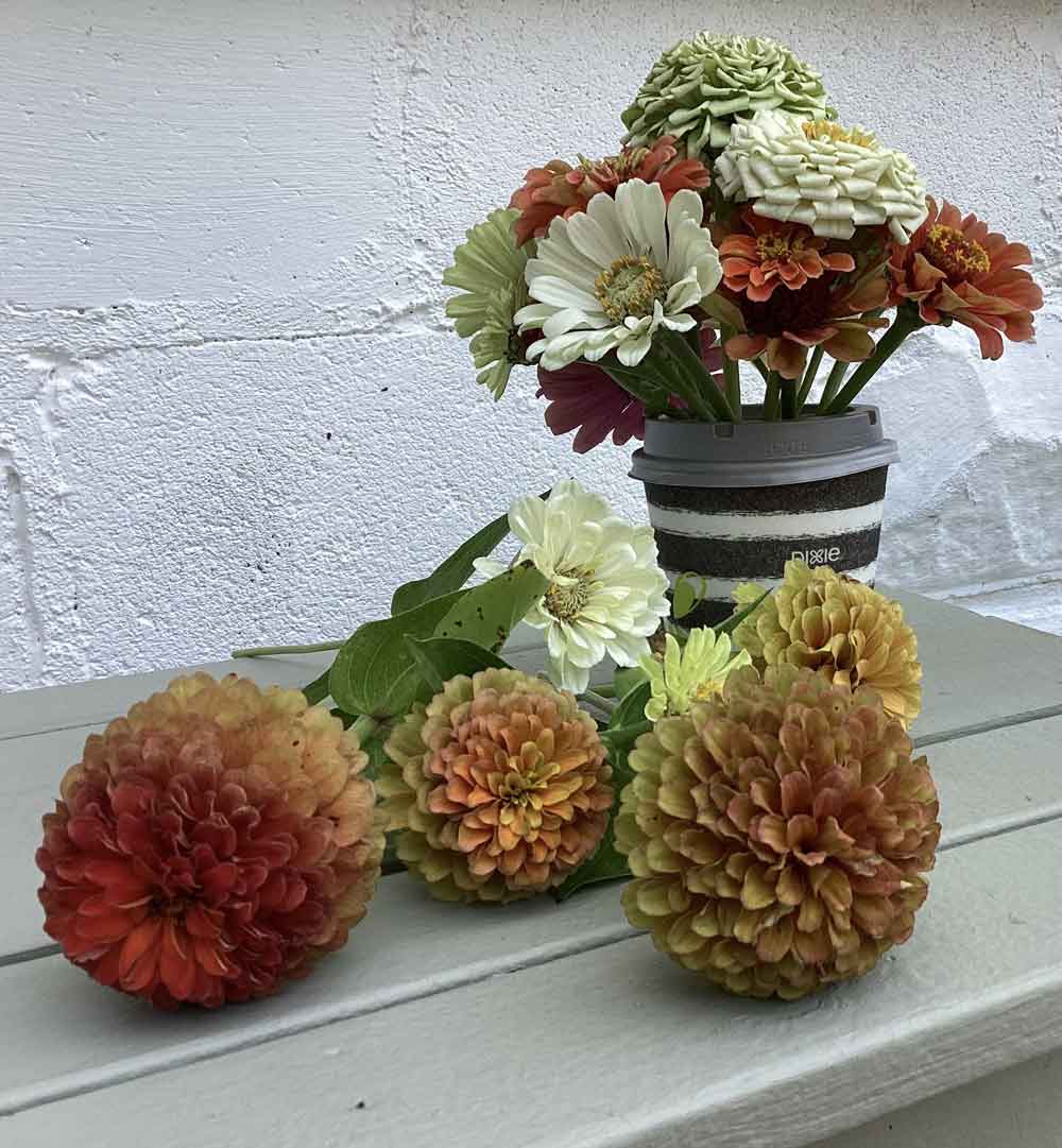 Making bouquets for our senior center