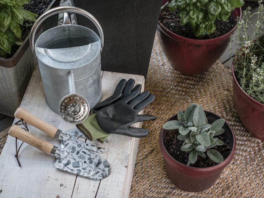 watering can with garden tools and pots with plants in them