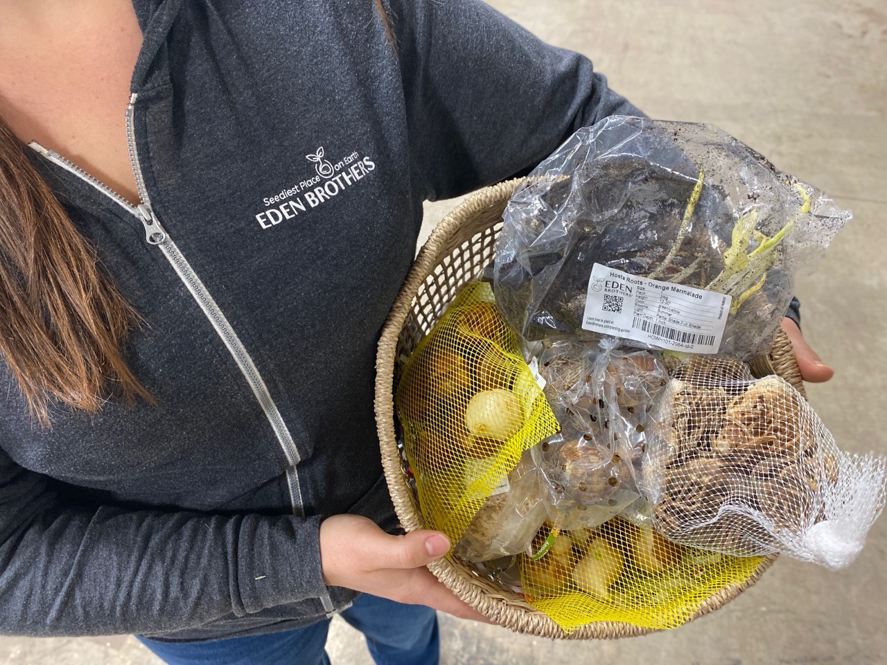 person holding flower bulbs in a basket