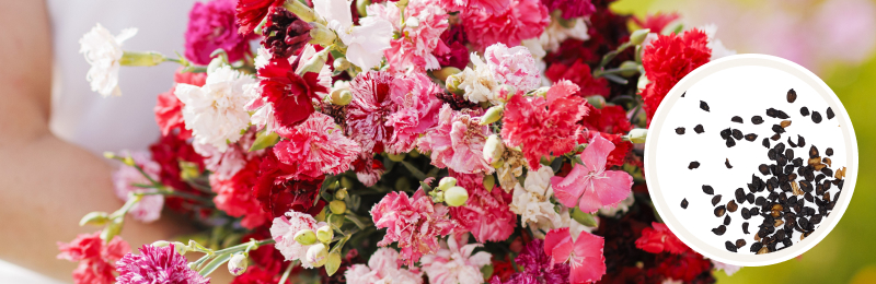 carnation bouquet with seeds