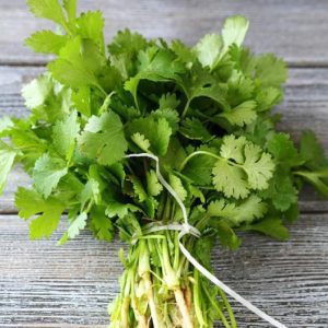 bundle of cilantro