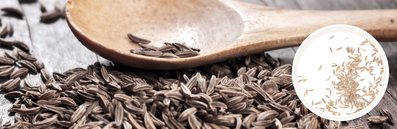 cumin seeds on a table