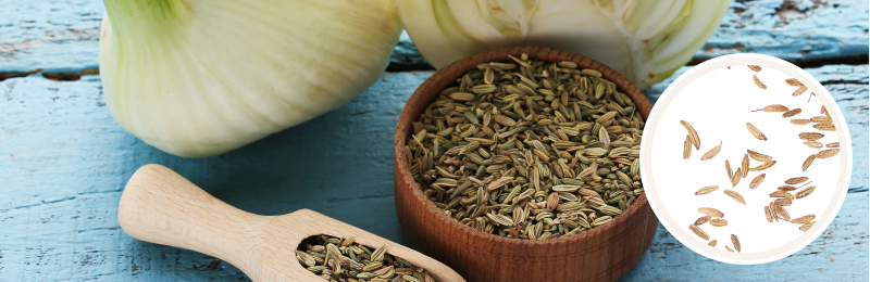 fennel seeds in a bowl on a table with fennel plant