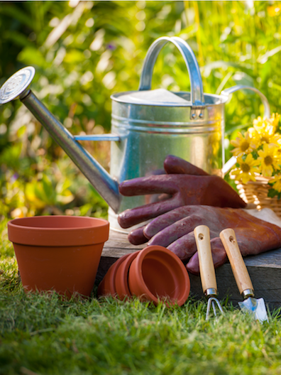 gardening tools in a garden