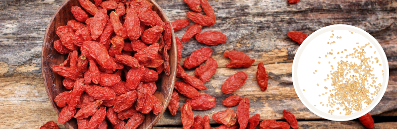 Goji Seeds