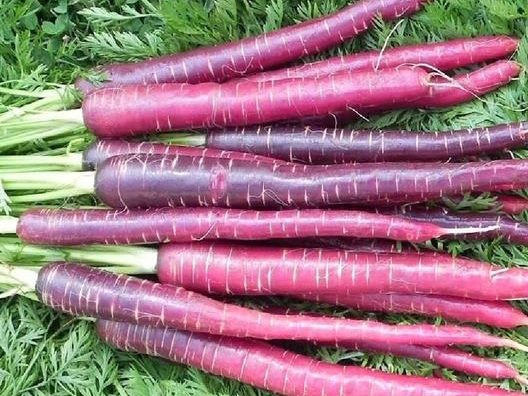 5 Heirloom Vegetables to Plant in Your Fall Garden