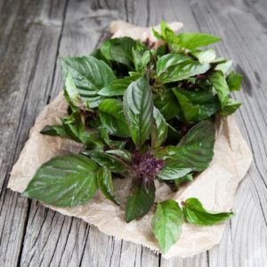 pile of basil