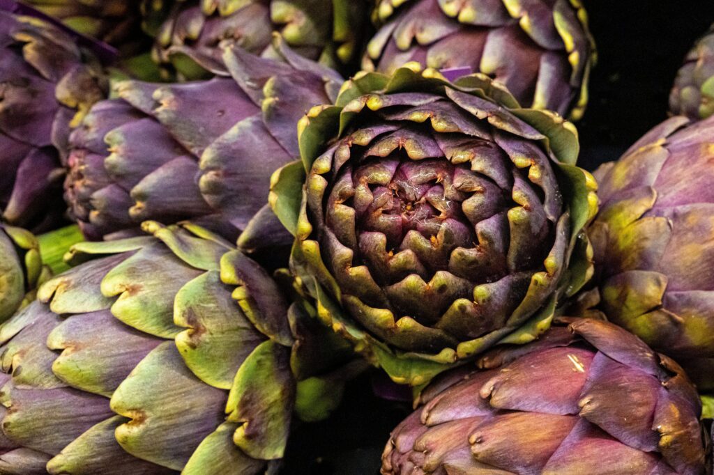 purple artichoke