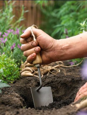 hands with shovel in dirt