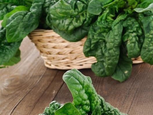 Spinach – How to Grow From Seed