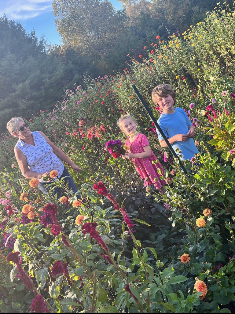 Blooming Fields Cut Flowers