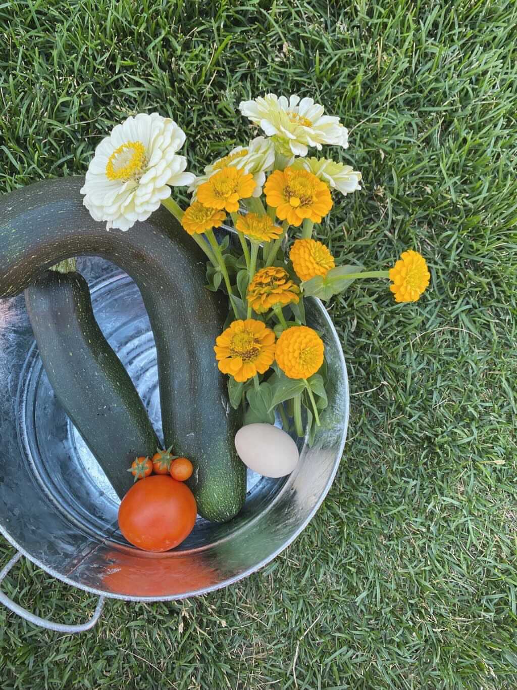 Garden harvest