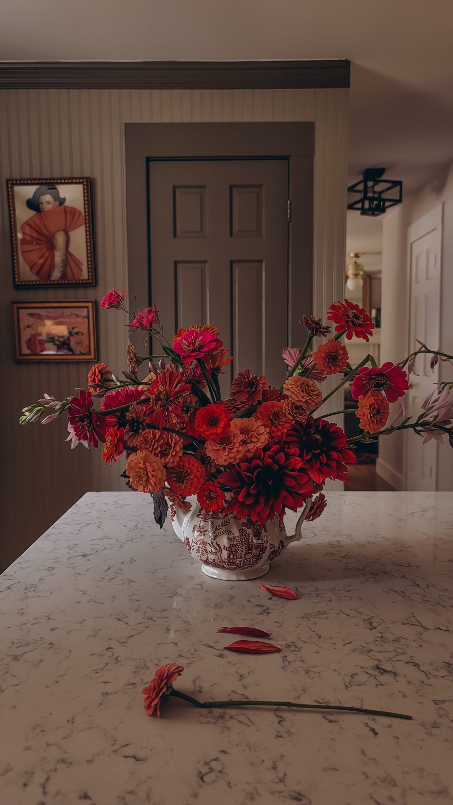 Zinnias and dahlias