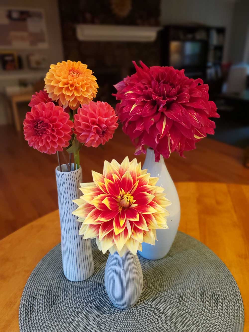 Cut Dahlias