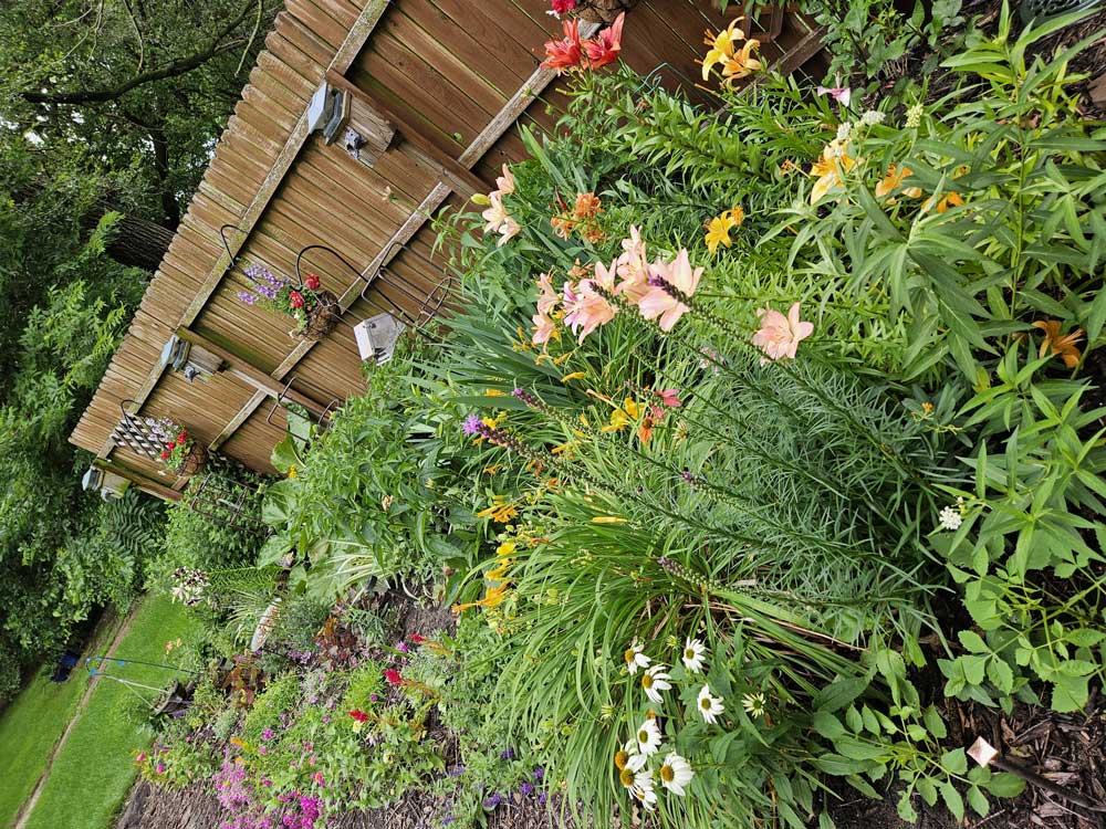 My patio peaceful pollinator garden