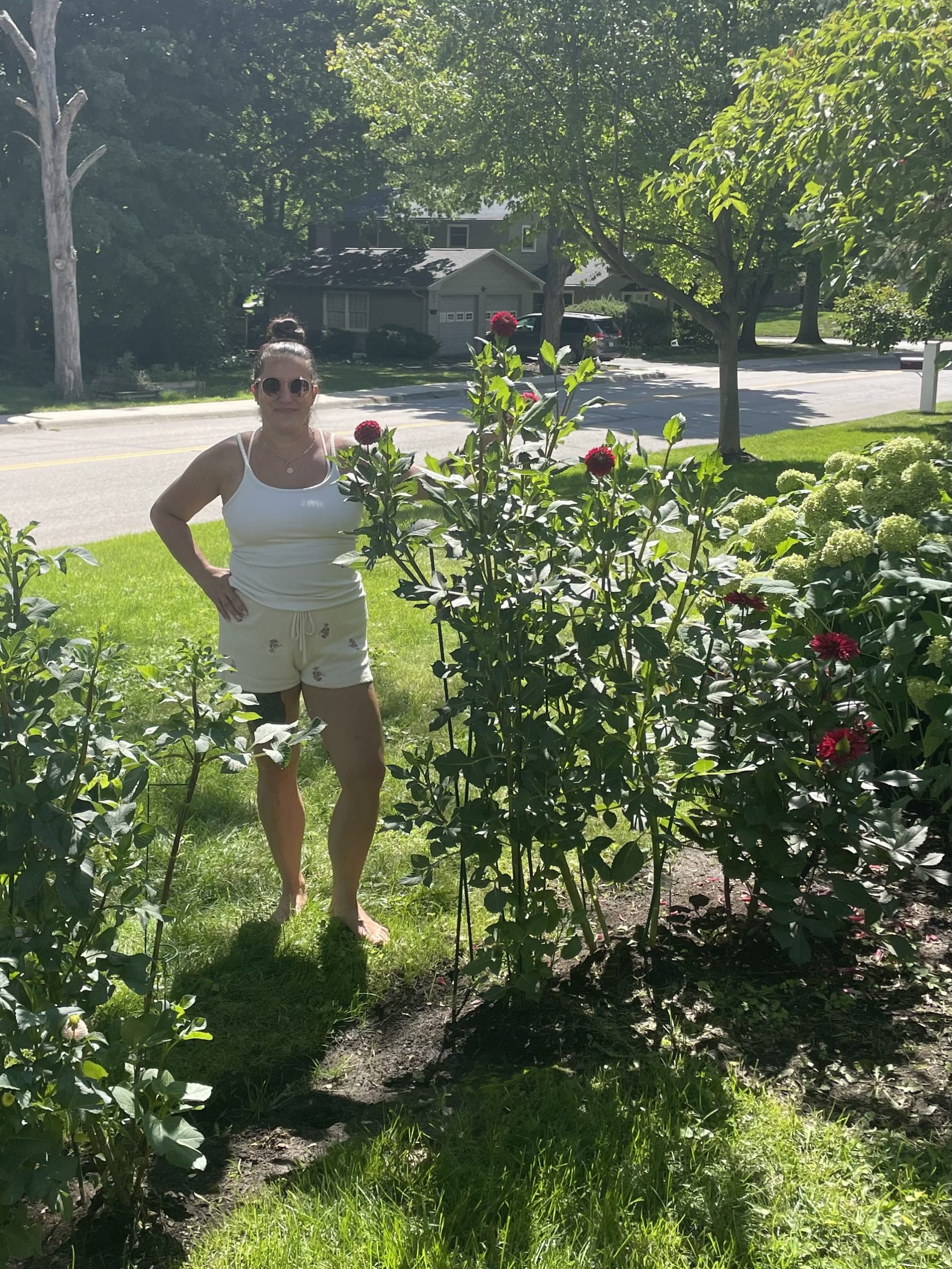 Proud Momma of 5ft Tall Dahlias!