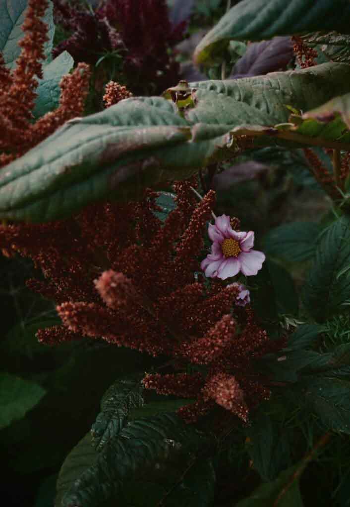 Fall Beauty